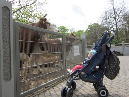At the Heidelberg Zoo1